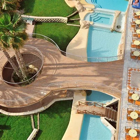 Kaktus Kaktus Albir 4*
