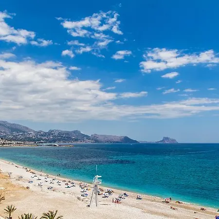 Kaktus Kaktus Albir